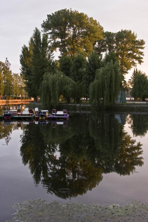 Ternopil Pond