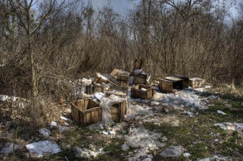 Сміття - проблема всієї України