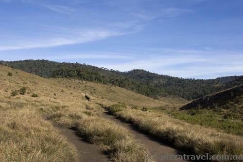 Horton Plains