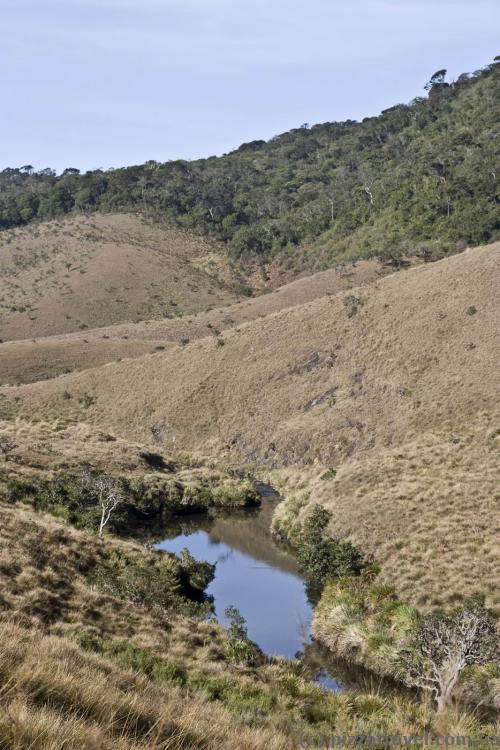Horton Plains