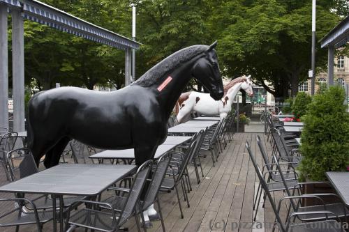 Сидишь себе в ресторане и тут подходит конь.
