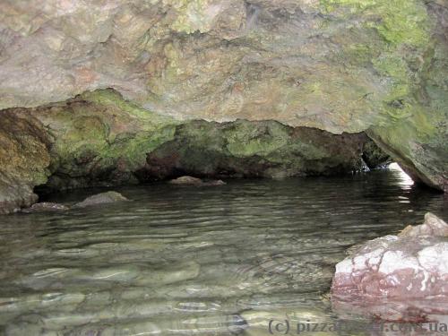 We swam in this cave and found a small animal.