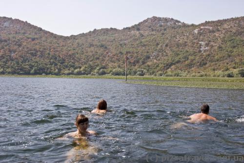 Skadar Lake