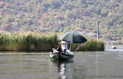 Skadar Lake