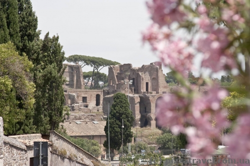 Municipal rose garden and Roman Forum