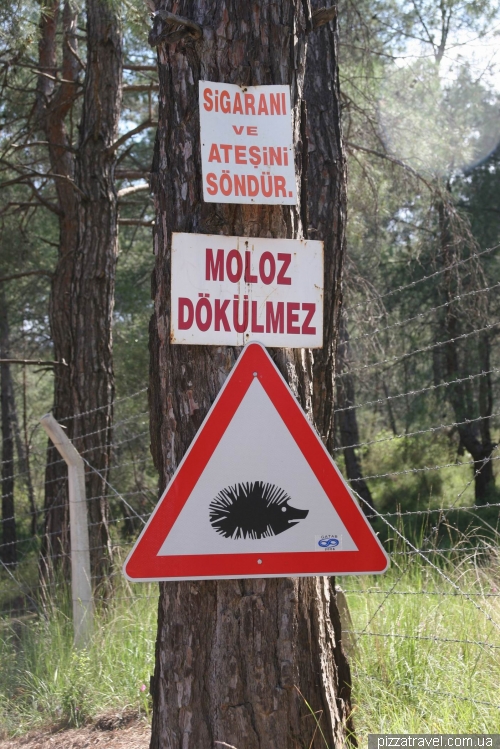 Kemer