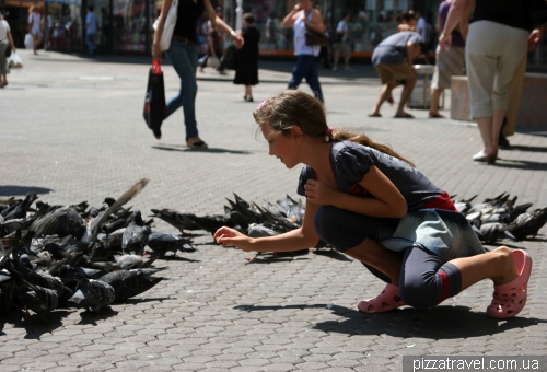 Pigeons on the Ban Jelacic Square in Zagreb