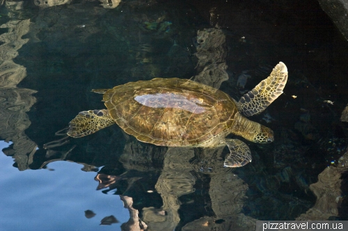 Puerto Egas (Сантьяго)