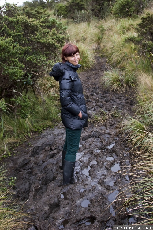 Cayambe Coca National Park