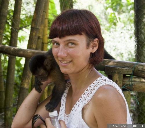 Animal Rescue Centers in Ecuador