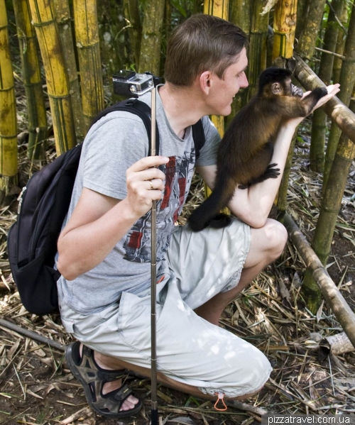 Animal Rescue Centers in Ecuador