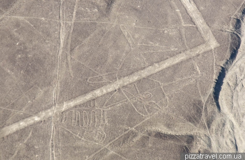 Nazca Lines