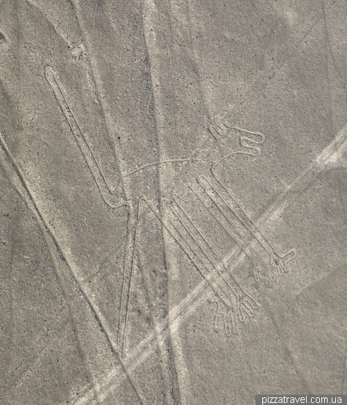 Nazca Lines