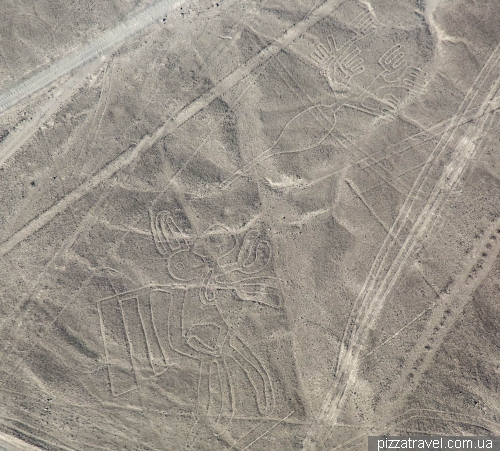 Nazca Lines