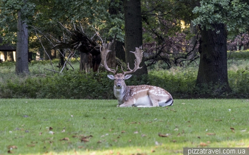 The Zoological Garden in Hannover (Tiergarten)