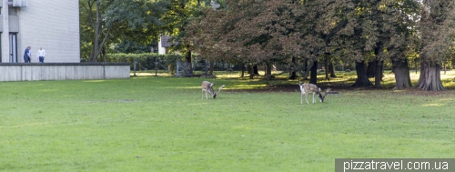 The Zoological Garden in Hannover (Tiergarten)