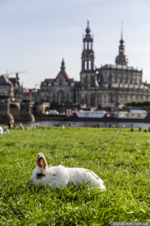 Dresden
