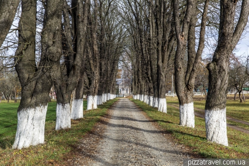 Chestnut Alley