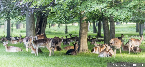 The Zoological Garden in Hannover (Tiergarten)