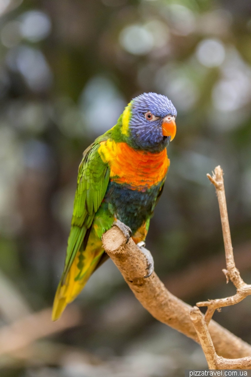 The largest bird park in the world in Walsrode