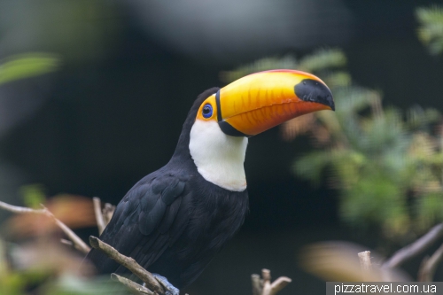 The largest bird park in the world in Walsrode