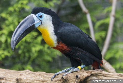 The largest bird park in the world in Walsrode