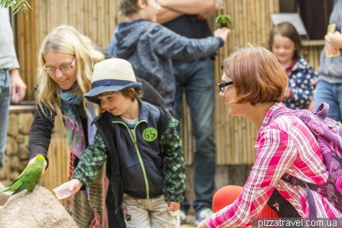 The largest bird park in the world in Walsrode