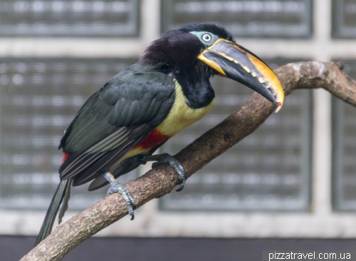 The largest bird park in the world in Walsrode