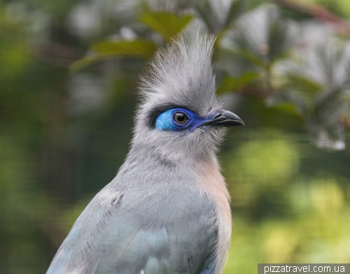 The largest bird park in the world in Walsrode