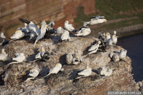 Helgoland