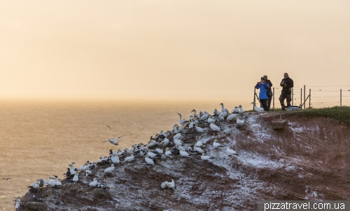 Helgoland