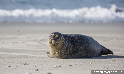 Helgoland
