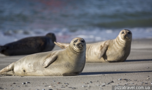 Helgoland