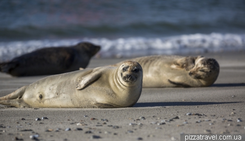 Helgoland