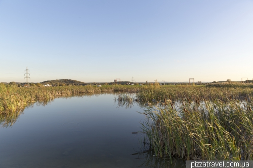 Ліппепарк в Хаммі