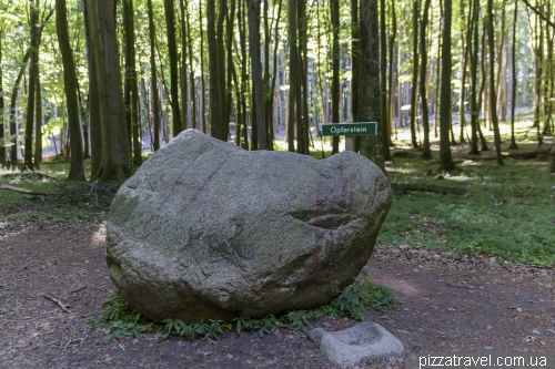 Jasmund National Park
