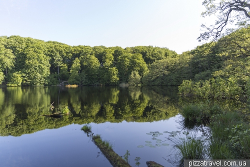 Jasmund National Park