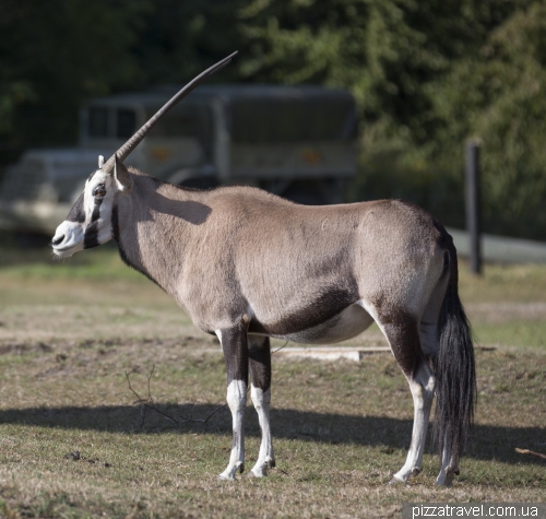 Serengeti Safari Park