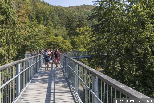 Trail over the treetops in Bad Harzburg (Baumwipfelpfad)