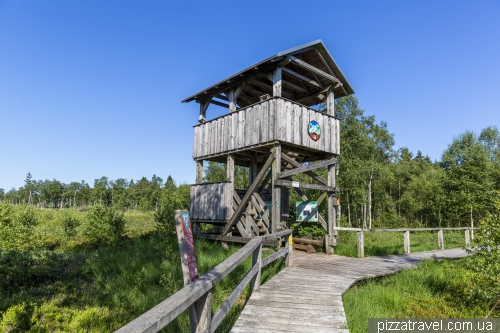 Mechlenbruch swamp (Hochmoor Mecklenbruch)