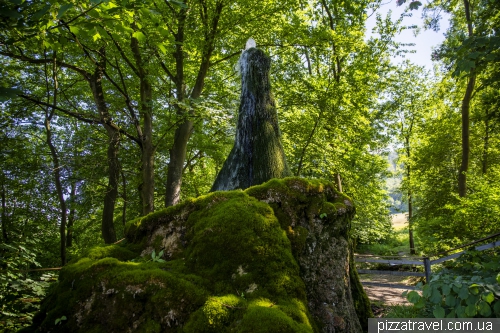 Water tree (Wasserbaum)