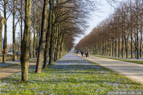 Hannover