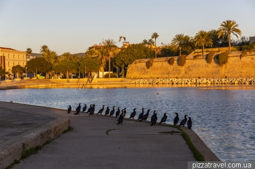 Palma de Mallorca