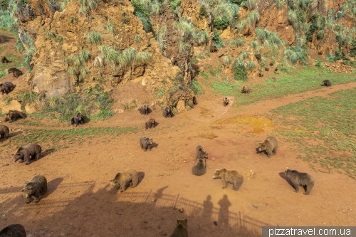 Cabarceno Safari (Parque de la Naturaleza de Cabarceno)