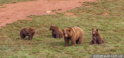 Cabarceno Safari (Parque de la Naturaleza de Cabarceno)