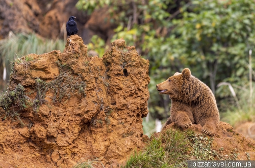 Cabarceno Safari (Parque de la Naturaleza de Cabarceno)