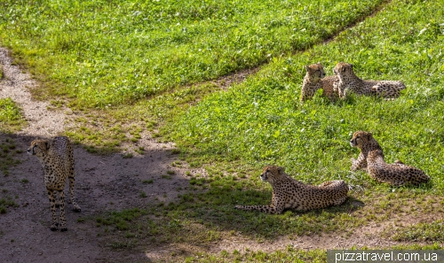 Cabarceno Safari (Parque de la Naturaleza de Cabarceno)