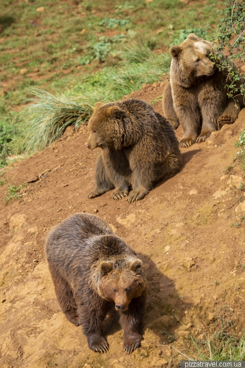 Сафарі в парку Кабарсено (Parque de la Naturaleza de Cabarceno)