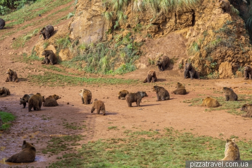 Сафарі в парку Кабарсено (Parque de la Naturaleza de Cabarceno)