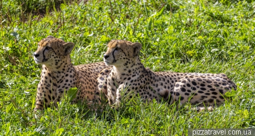 Cabarceno Safari (Parque de la Naturaleza de Cabarceno)